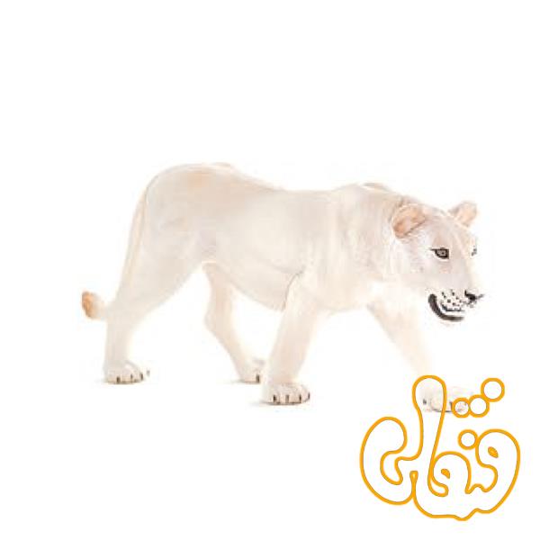 شیر سفید ماده موجو  White Lioness 387207